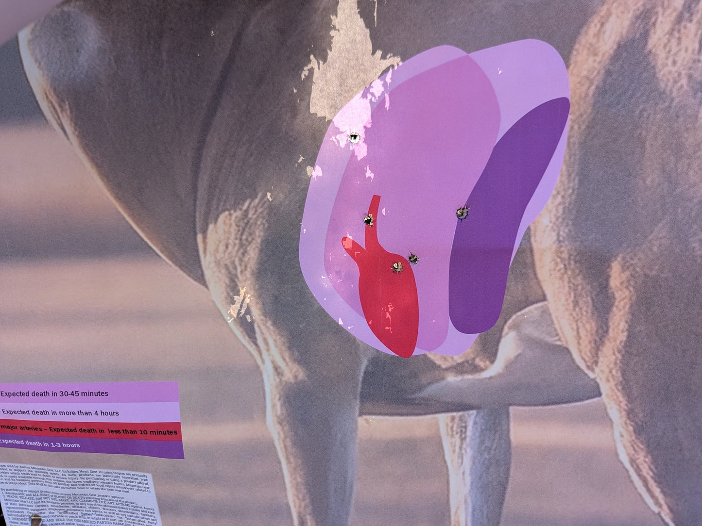 Whitetail Life Size Hidden Vitals Target – Quartering away life size whitetail buck