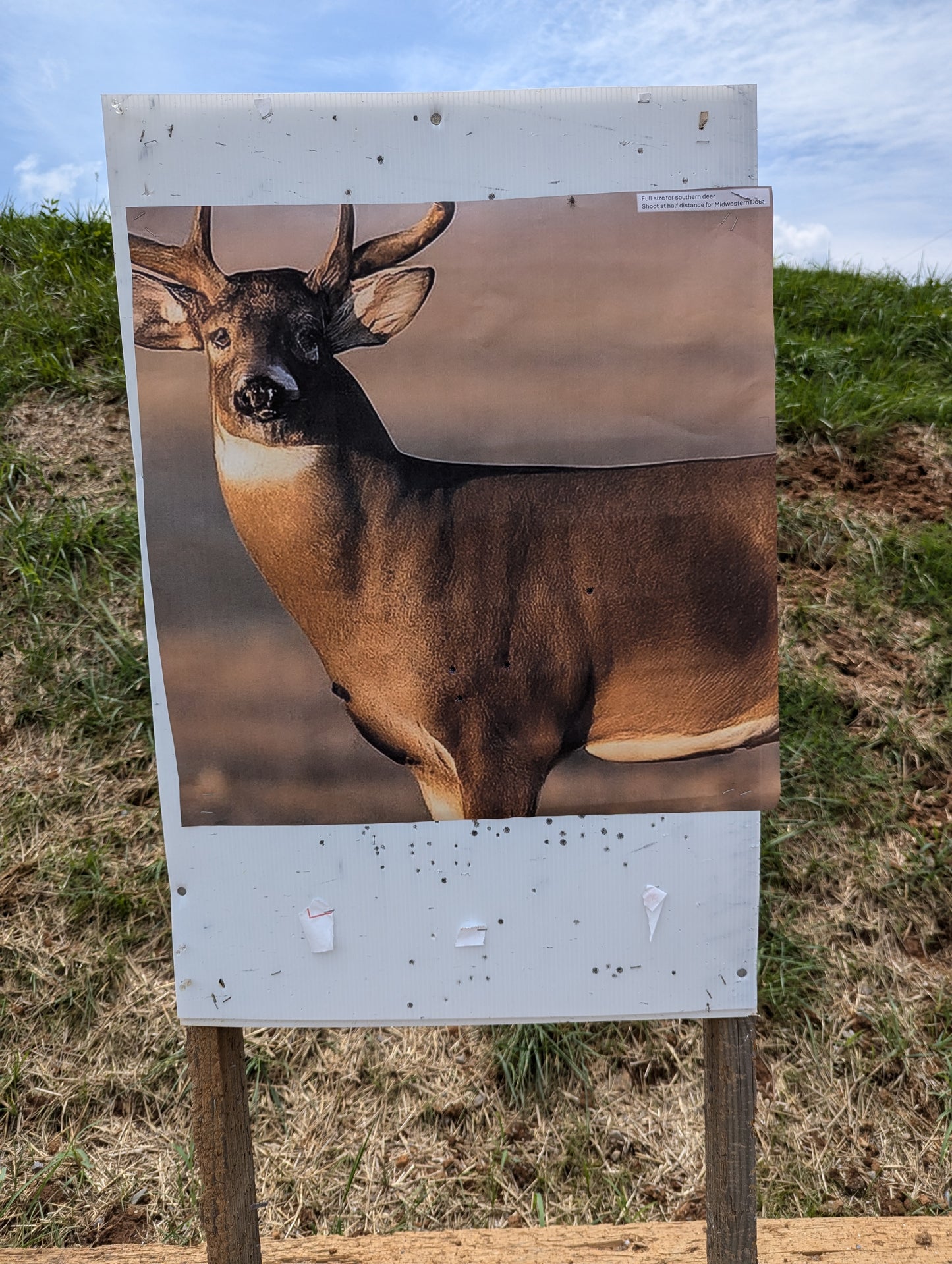 Whitetail Life Size Hidden Vitals Target - Southern White Tail Buck Deer