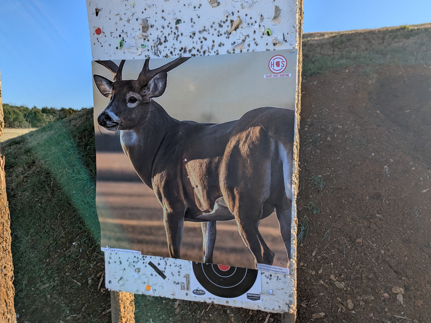 Whitetail Life Size Hidden Vitals Target – Quartering away life size whitetail buck