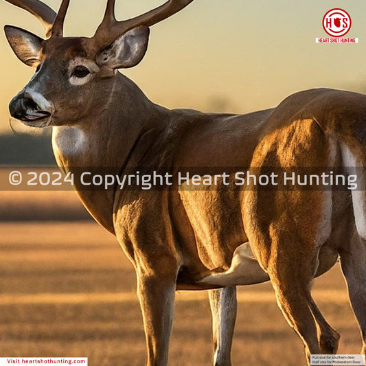 Whitetail Life Size Hidden Vitals Target – Quartering away life size whitetail buck